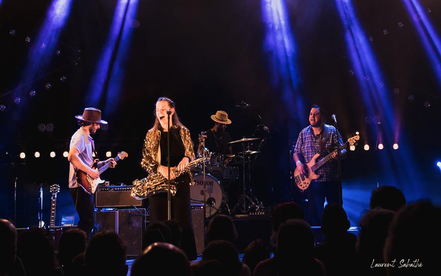 Miss Bee & the Bullfrogs 